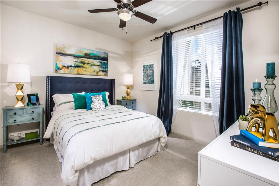 Venue Apartments photo 4